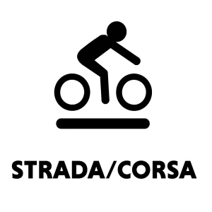 Cubierta carretera Vittoria Rubino Pro IV TLR 700x25c